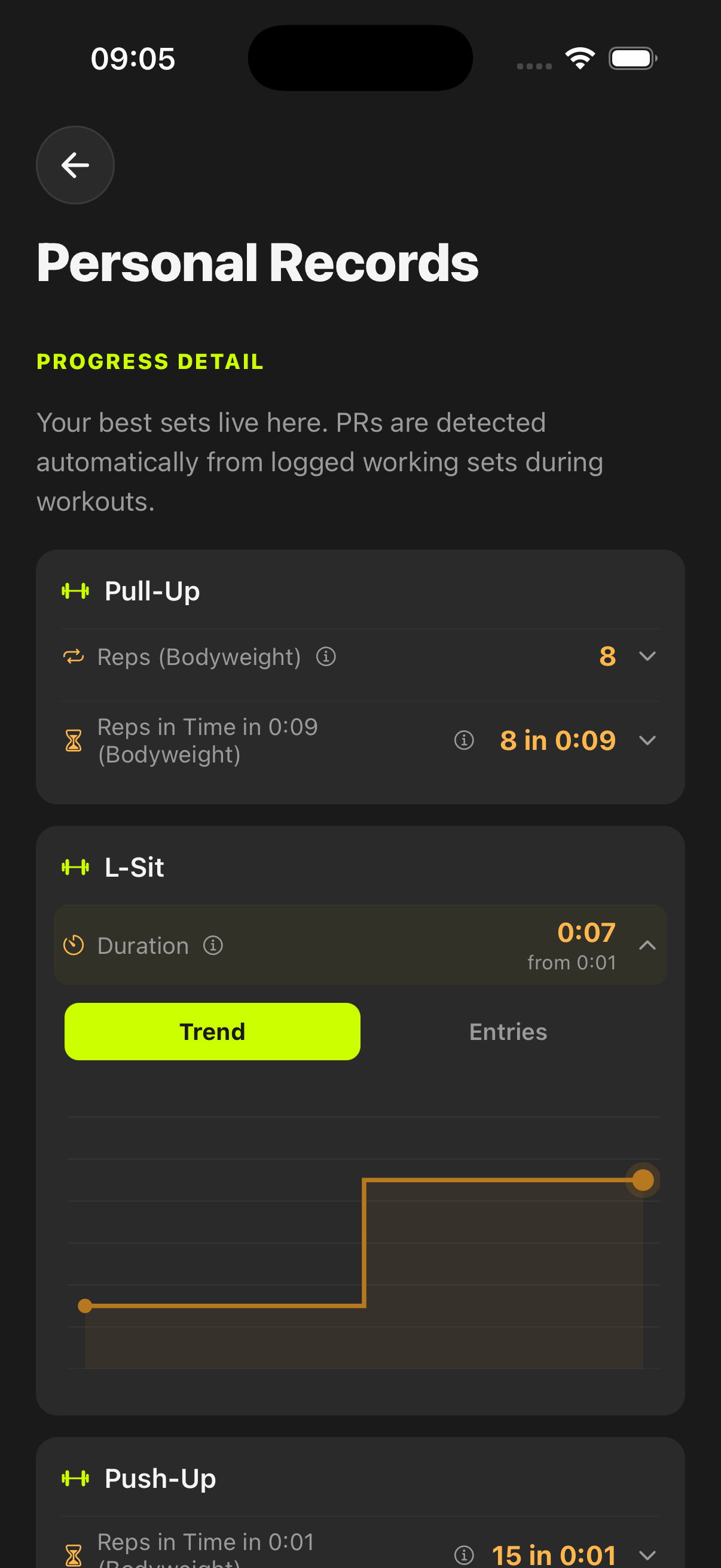 Personal records detail with pull-up and L-sit records plus a visible progress trend